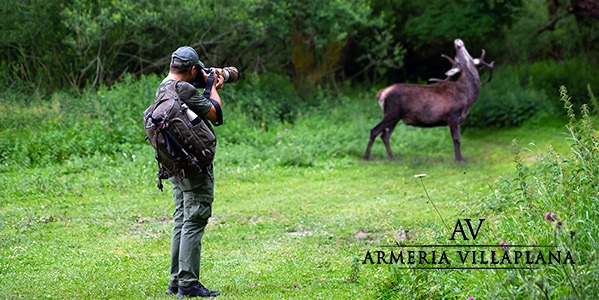 Arte y fotografía de caza